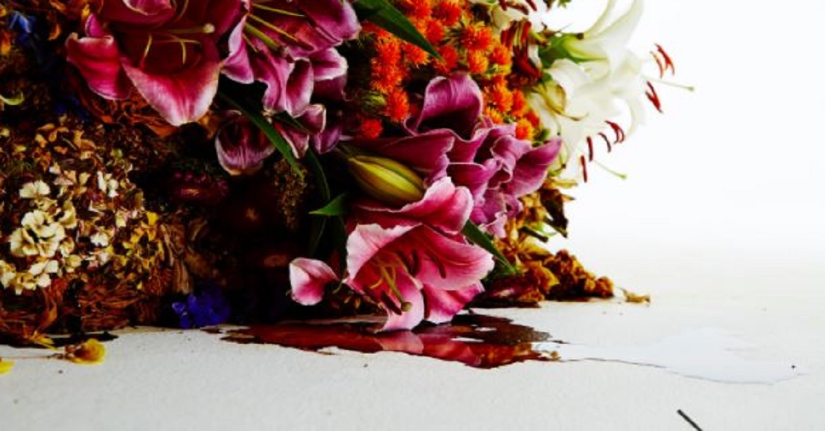 美麗到達頂點後便走向衰敗！日本藝術家用花卉探索生命的循環 日本、藝術家、花卉、鮮花、生命