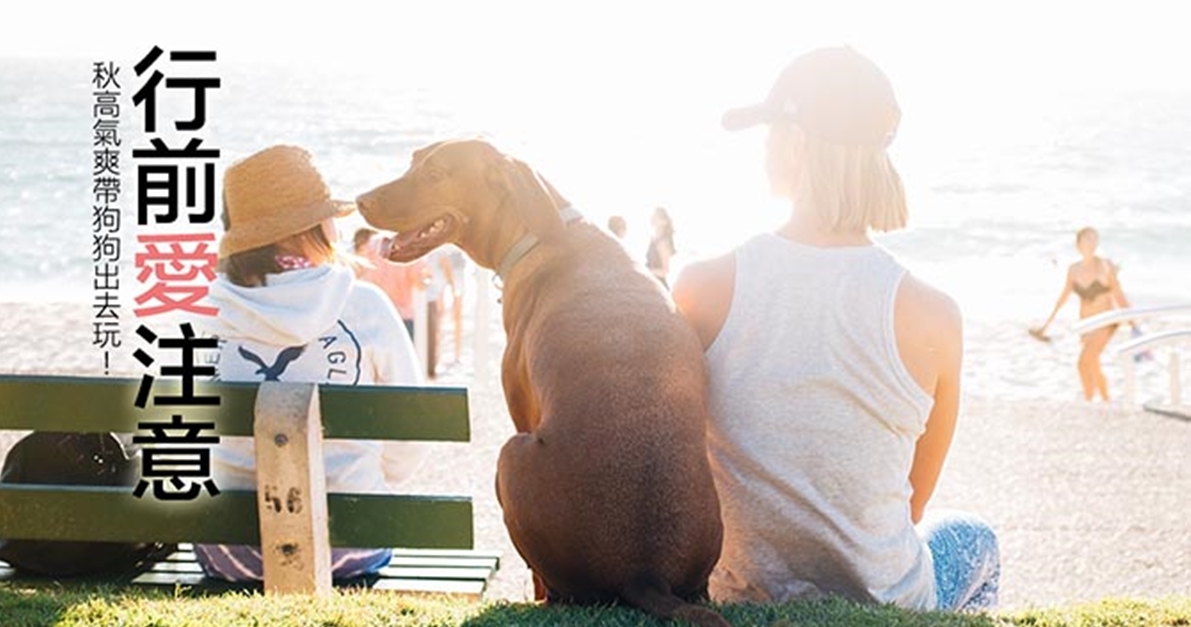 行前愛注意！那些天氣秋高氣爽帶狗狗出去玩的外出必知 秋高氣爽、狗狗、行前注意、PLAY