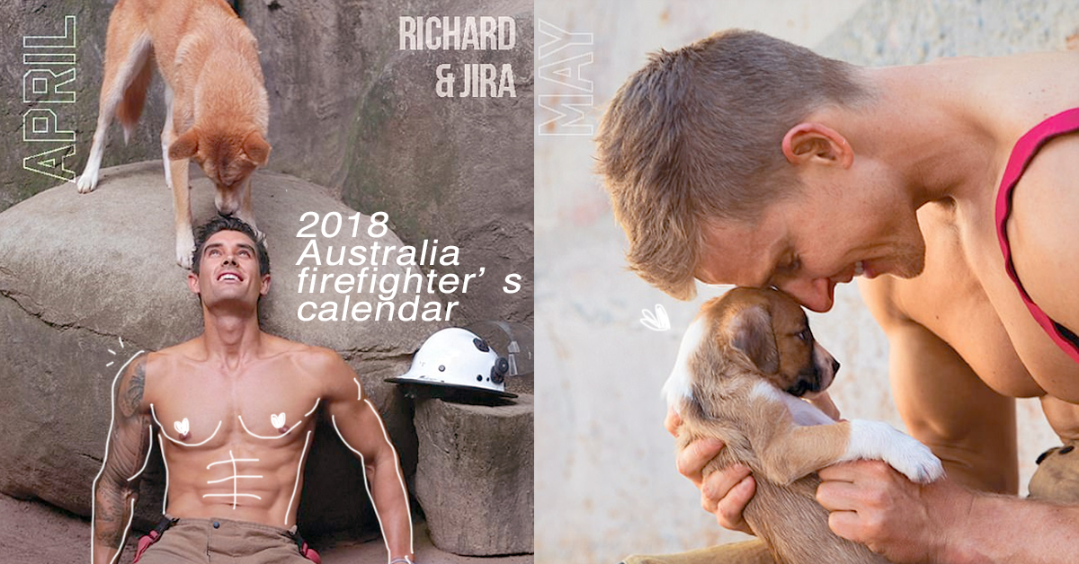 猛男和萌寵的搭配真的超犯規！2018年澳洲消防員年曆你準備好了嗎？ 年曆、猛男、澳洲消防員、2018、性感、帥哥、萌寵、動物、無尾熊、狗、袋鼠、興奮