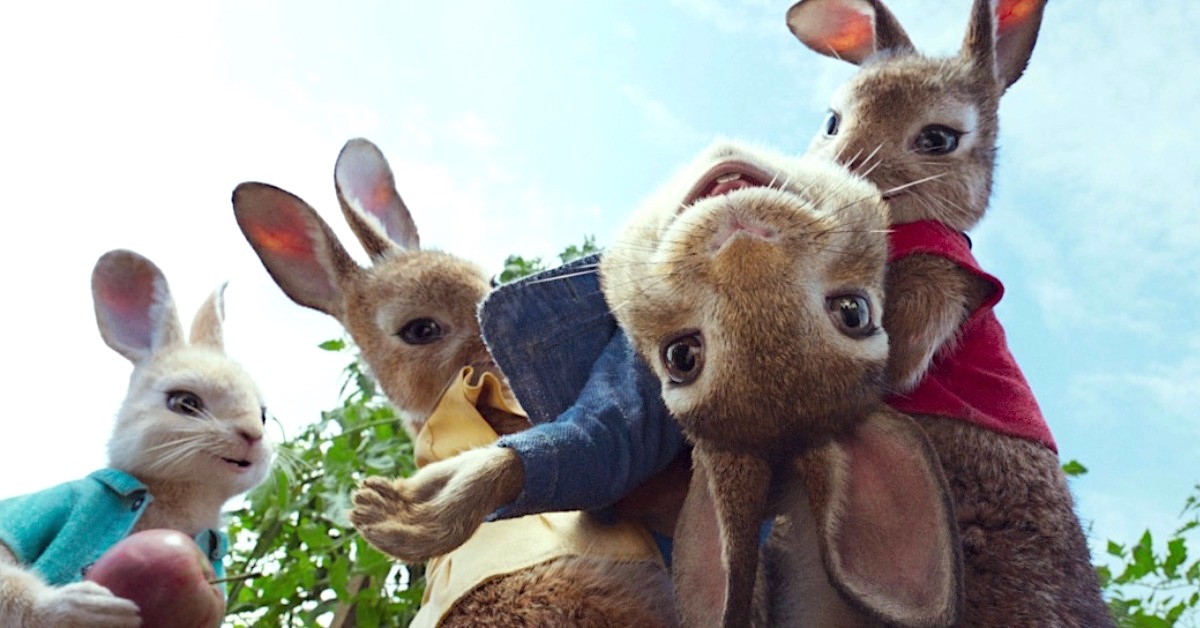 全世界最紅的兔子！《彼得兔》改編成動畫電影決心萌翻真人世界 彼得兔、peter rabbit、繪本、兔子、電影、詹姆斯柯登、瑪格羅比