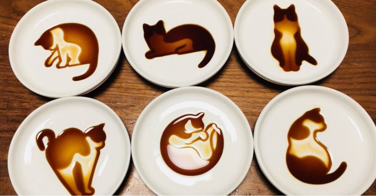 倒入醬油之後就會浮現喵星人！超可愛的「貓咪醬料碟」賣到缺貨啦 貓咪、醬料碟、醬油、碟子、缺貨