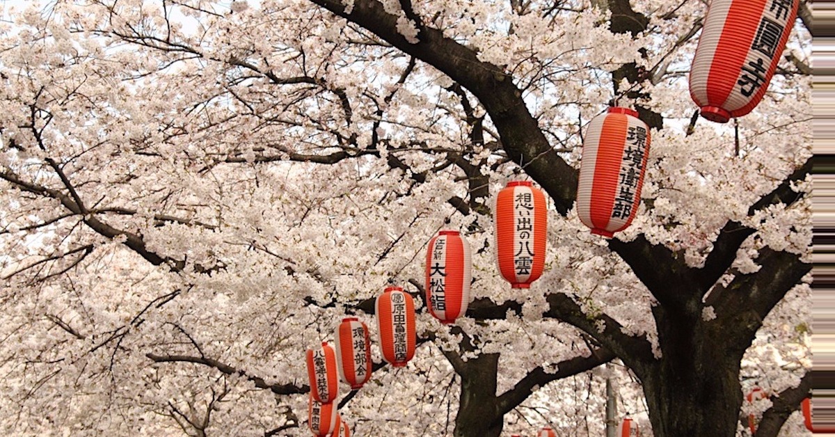 好書抱抱：扇子、春雪、新蕎麥的味道交織成芥川賞小說家的日常《時晴時陰》 芥川賞、川上弘美、日式散文、閒散、瑣事、時晴時陰、買書、剁手指小姐、讀讀書