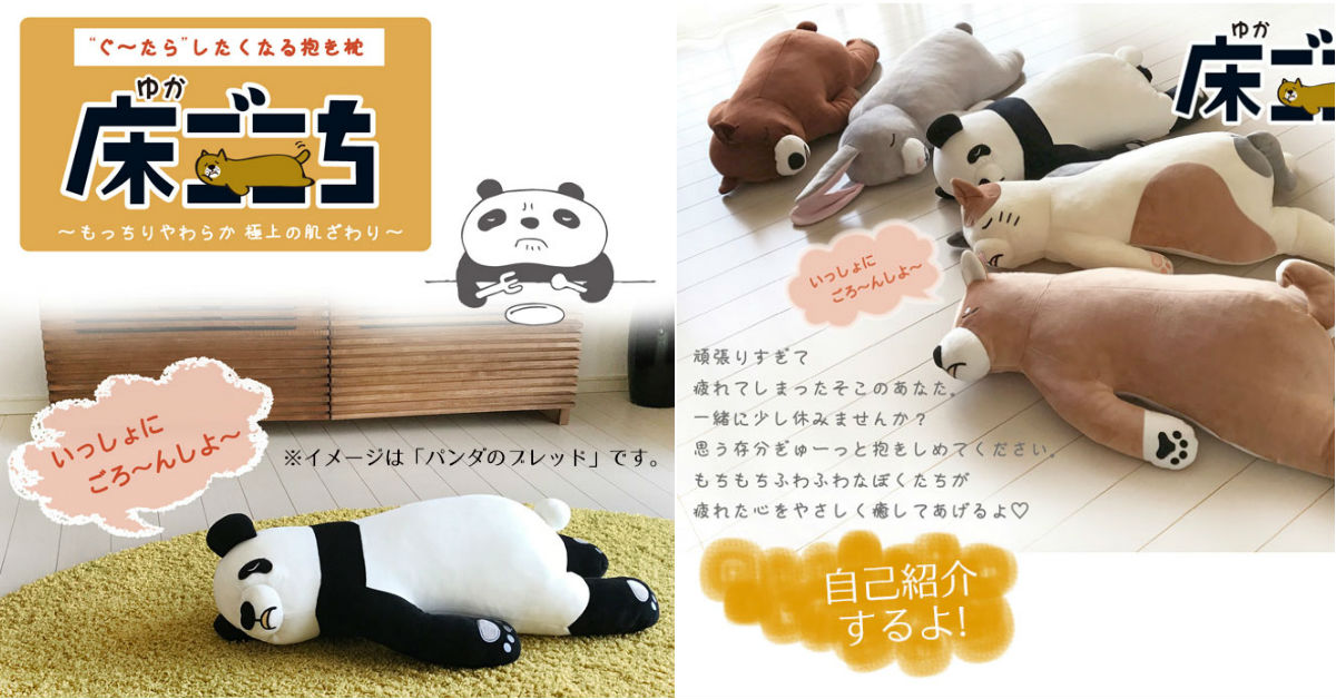 好累喔～不想動...跟疲憊到趴在地板上的脫力動物一起躺好睡覺 動物、睡覺、脫力、抱枕、懶洋洋、柴犬、貓咪、兔子、熊貓、熊熊