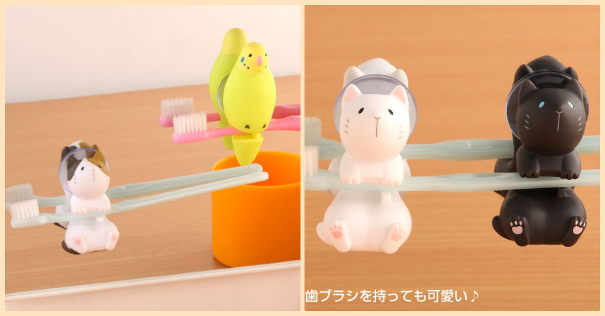 讓小鸚鵡幫你hold住牙刷！超萌小動物牙刷架排排站 鸚鵡、貓咪、鳥、牙刷架、牙刷、動物造型、居家擺設、雜貨、小物、可愛