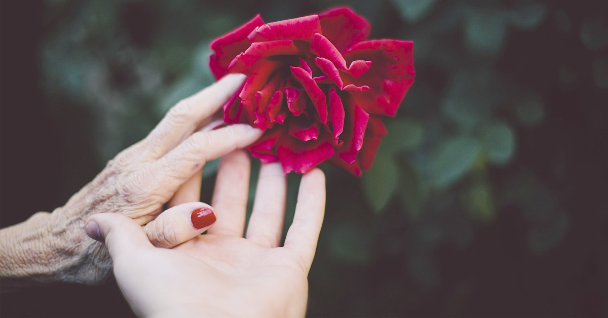 女生的第二張臉要顧好！美甲達人：「護手霜只有搓一搓帶過是不夠的！」 護手、護手霜、秋冬保養、保溼、滋潤