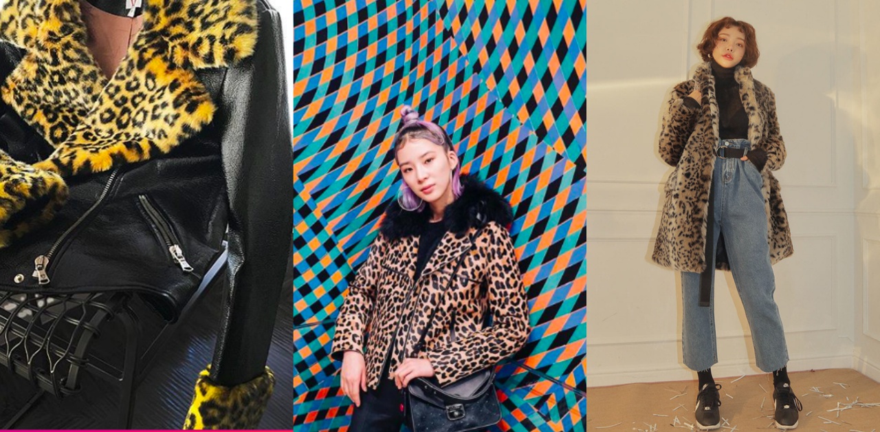 看不懂的時尚？！豹紋元素很流行但怎麼搭才不NG？ 豹紋、時尚、穿搭、華麗、狂野、時髦、潮人、潮流