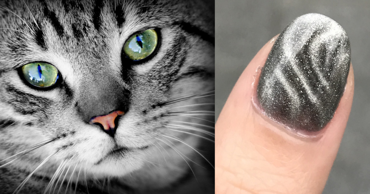 在家就能輕鬆玩出時尚的貓紋美甲～讓美甲師嚇到吃手手的磁力指彩 指甲、彩繪、光療、貓紋、Ｍiss BOBO