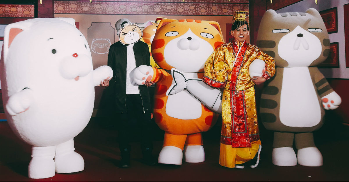 史上最87的展來惹！麻糬爸帶你走進白爛貓的超有事日常 麻糬爸、白爛貓、白爛貓超有事特展、貼圖、麻糬、那條魚