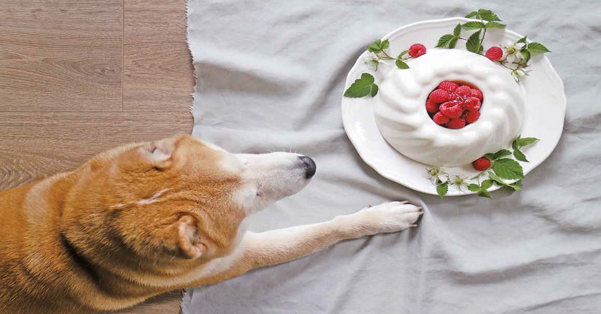 餐桌決定你日子的好壞！《我，哈利——生活的餐桌與工作的餐桌》教你布置日常 餐桌、布置、料理、居家、生活、我，哈利——生活的餐桌與工作的餐桌、剁手指小姐、買書、讀讀書