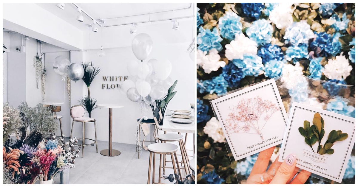 連美樂蒂都搭上乾燥花風潮！台北5家療癒系花草咖啡廳特搜 美樂蒂、期間限定、乾燥花、Amandier Cafe、My Melody、Fujiflower、花惹花咖啡、小夢境、WhiteWhaleCafe、網美