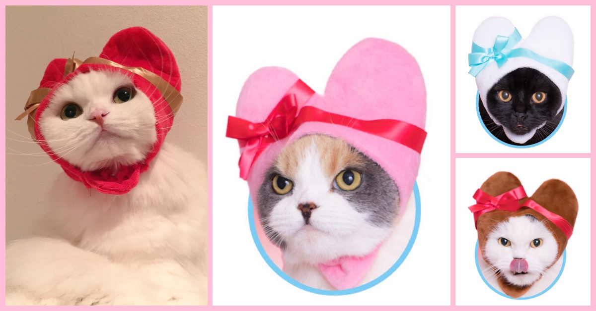 喵星人被包成禮物啦？！情人節甜蜜鉅獻之愛心貓咪頭套登場 貓咪頭套、愛心、情人節、禮物、緞帶