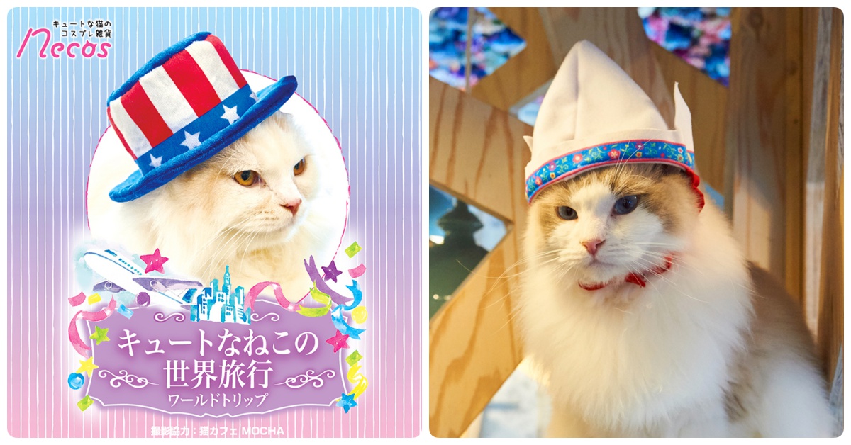 貓咪要出國很麻煩？戴上喵星人專用的「世界旅行帽」輕鬆在家周遊列國 necos、世界旅行、貓咪、可愛、帽子、頭套、頭飾、環遊世界、國家、cosplay
