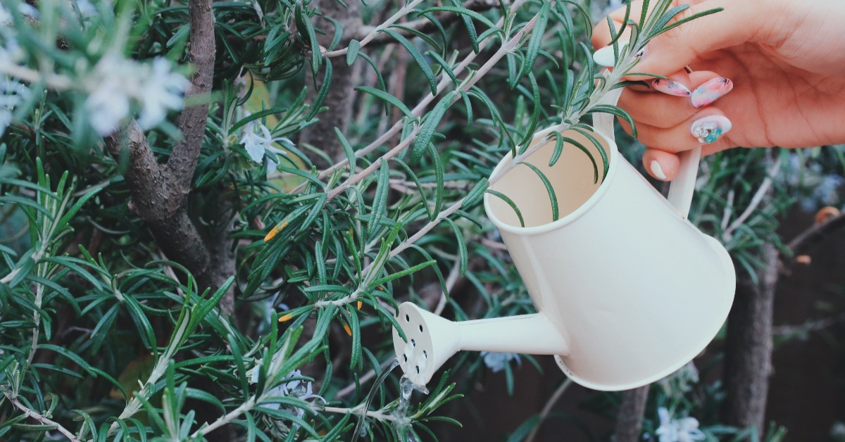 你沒玩過的日本神奇景點！問屋街、甘味處超強旅行書大推薦 問屋街、甘味食堂、甘味處、村上春樹、深度旅遊、文學、旅遊、導覽、批發大街、東京、大阪、挪威的森林、買書、剁手指小姐、讀讀書