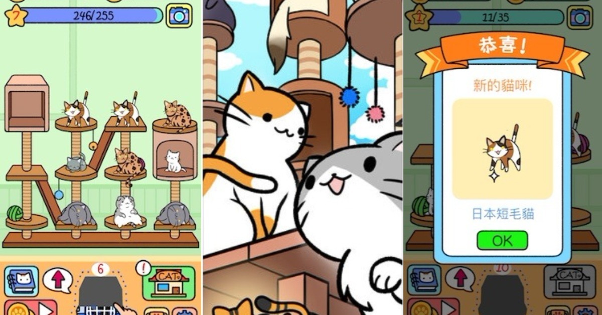 就跟你說貓咪會越養越多！來《貓咪公寓》享受被主子包圍的療癒感覺吧！ 貓咪公寓、Cat Condo、可愛、貓咪、手遊、療癒、養成、萌、收集