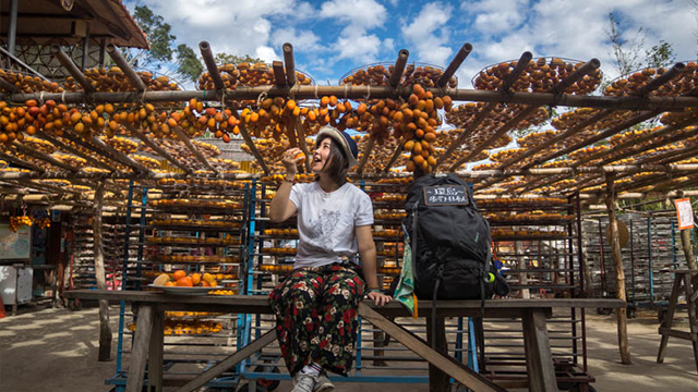 日本女孩也瘋台灣環島？讓人心頭一暖的櫻花妹遊台實錄 愛玩妞、日本、台灣、環島、熱情、打卡、景點、新竹新埔柿餅園、苗栗泰安烏嘎彥竹林隧道、 成功大學力行校區