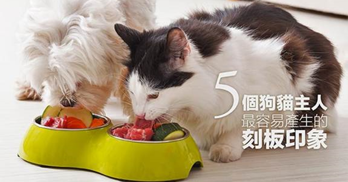 別再弄錯了！ 5個狗貓主人最容易產生的刻板印象  狗、貓、刻板印象