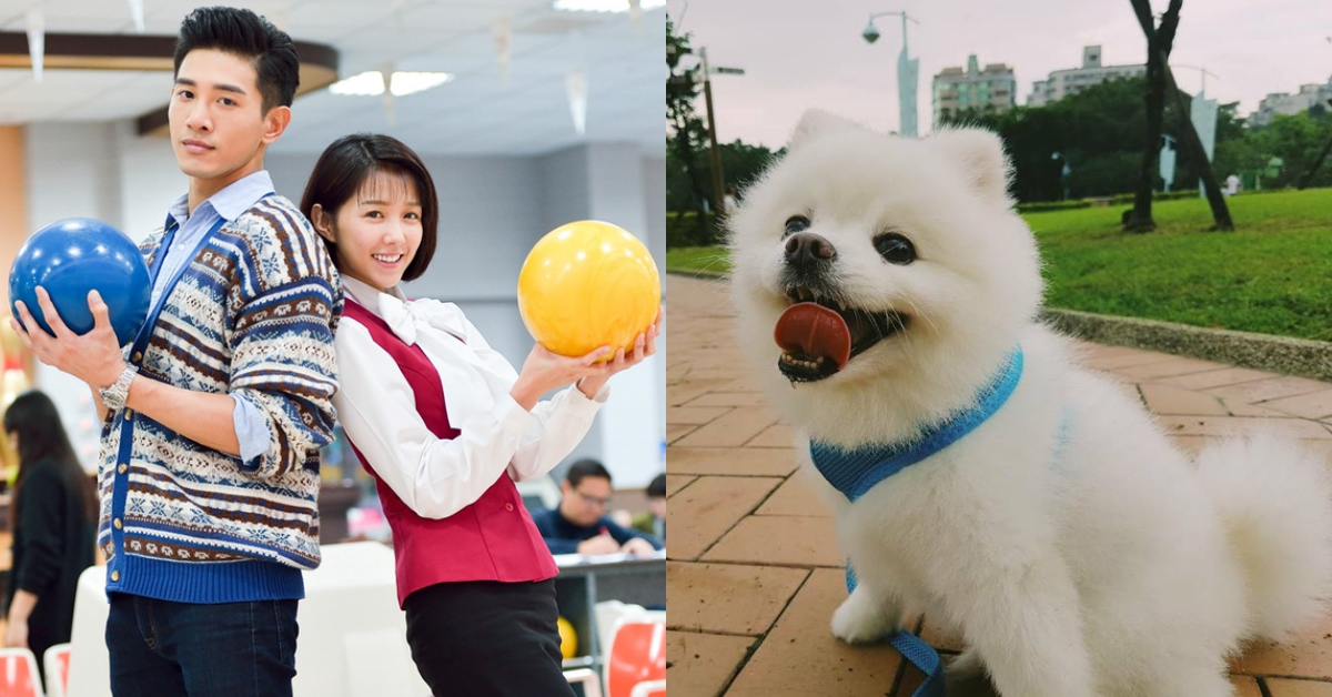 邵雨薇被暗指劈腿吳慷仁！舊愛張立昂霸氣回應「分開後還是朋友，沒有誰對不起誰」 張立昂、邵雨薇、吳慷仁、鍾瑶、劈腿、分手、戀愛、新歡、舊愛、感情、男女