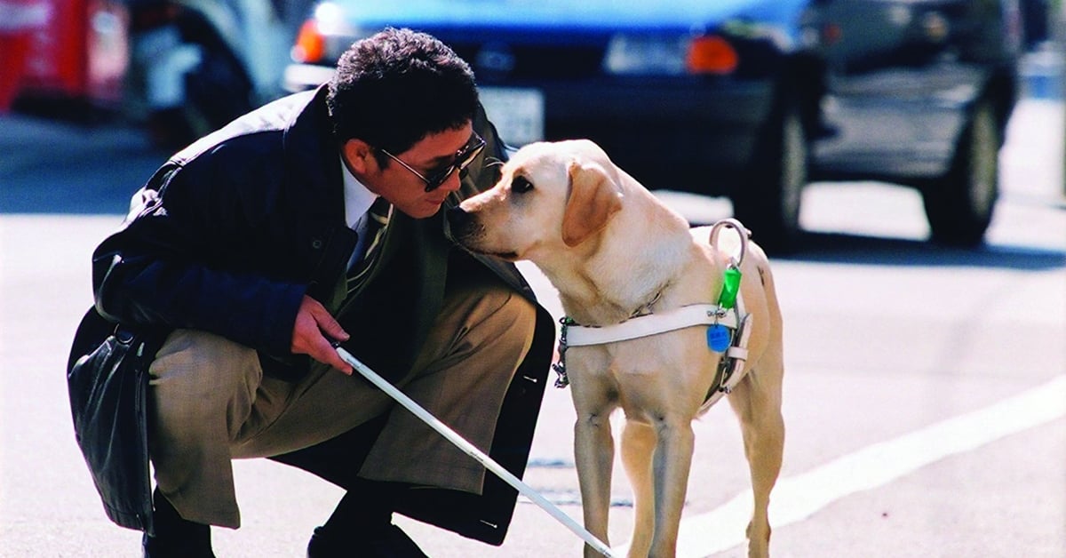 狗年必看狗片！盤點不容錯過的狗狗電影  狗年、狗片、狗狗電影、忠心、愛狗人 士、十二夜、A Dog's Purpose、為了與你相遇、Hachi: A Dog's Tale、忠犬小八、再見了，可魯