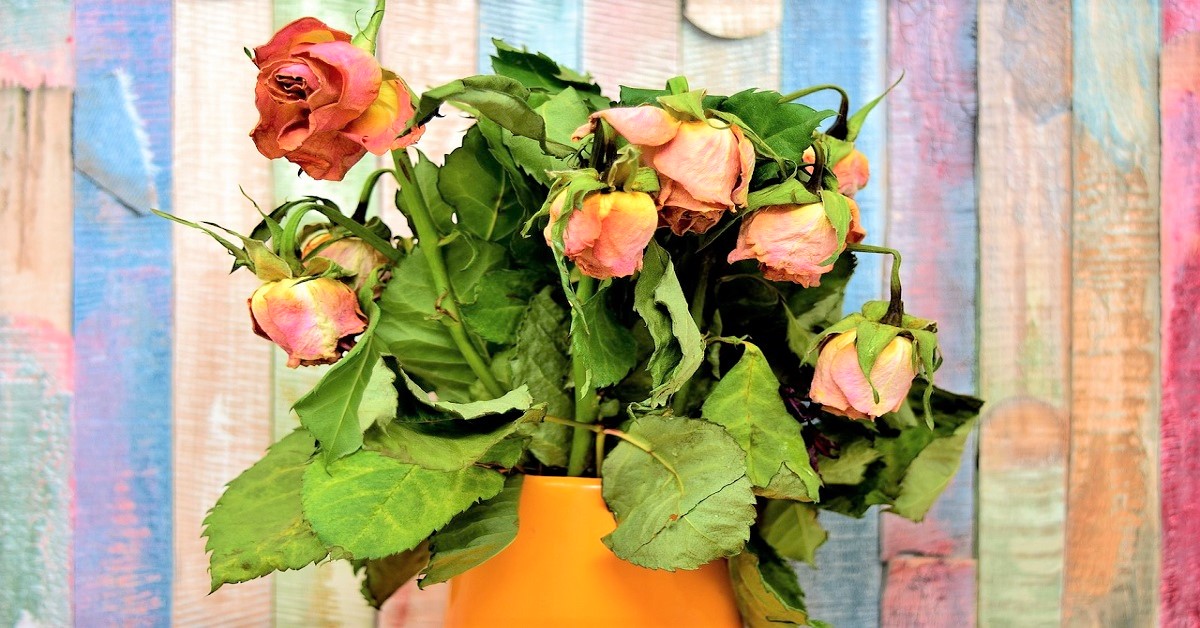 「心情不好」跟「跑步」的耗氧量幾乎一樣！愛美不能忽略身體的缺氧警報 女生研究室、耗氧量、缺氧、保養、健康、讀讀書