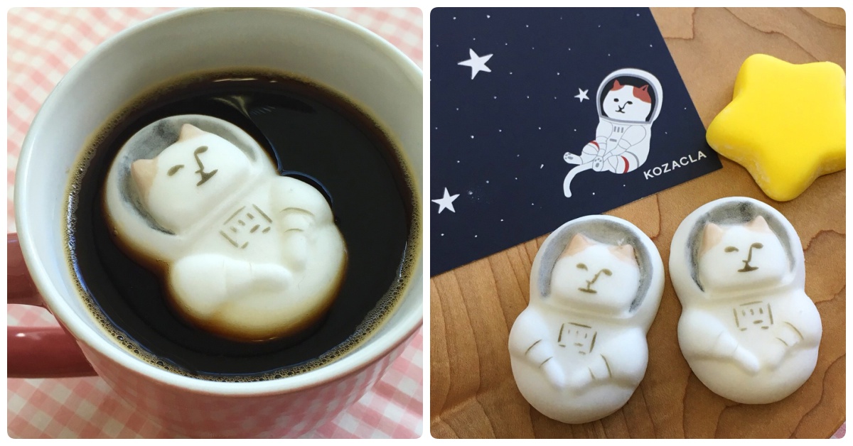 整個馬克杯就是我的小宇宙！漂浮在咖啡上的太空貓咪棉花糖超療癒 外太空、宇宙、貓咪、棉花糖、星星、肉球、太空人