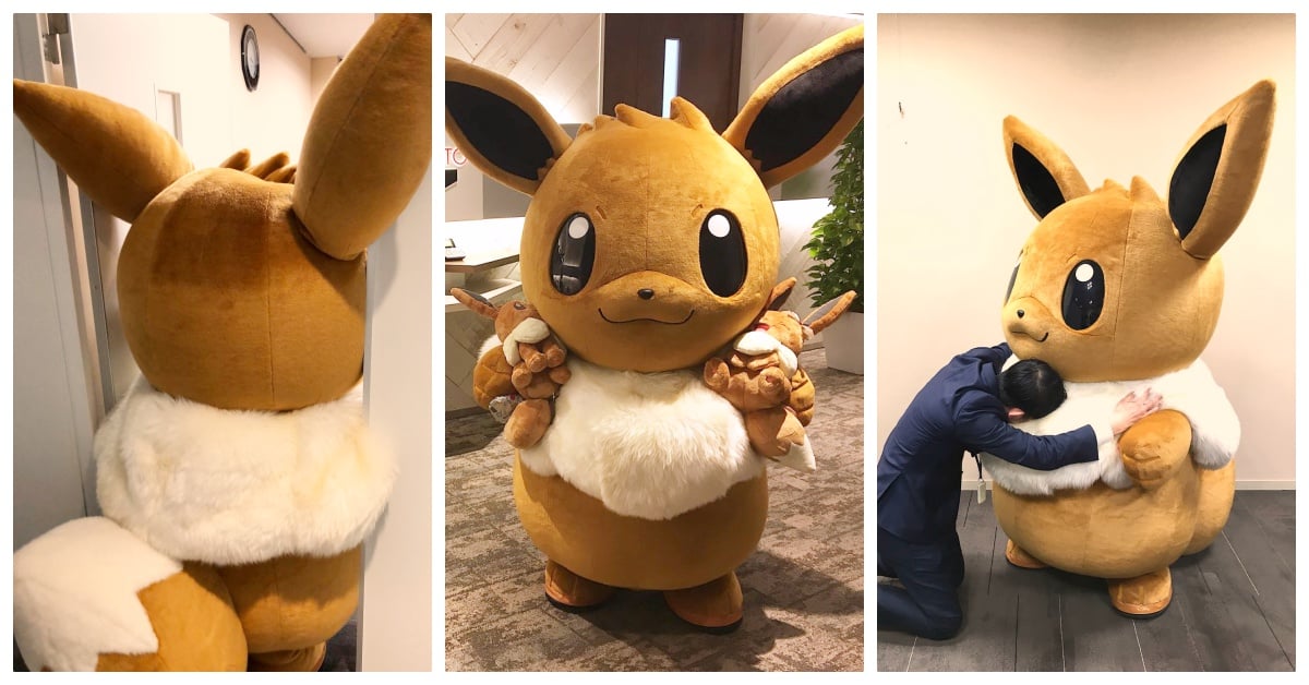 總是卡在門口的伊布也太萌！超療癒的公司參訪日記曝光 伊布、公司參訪、日記、卡住、可愛、療癒