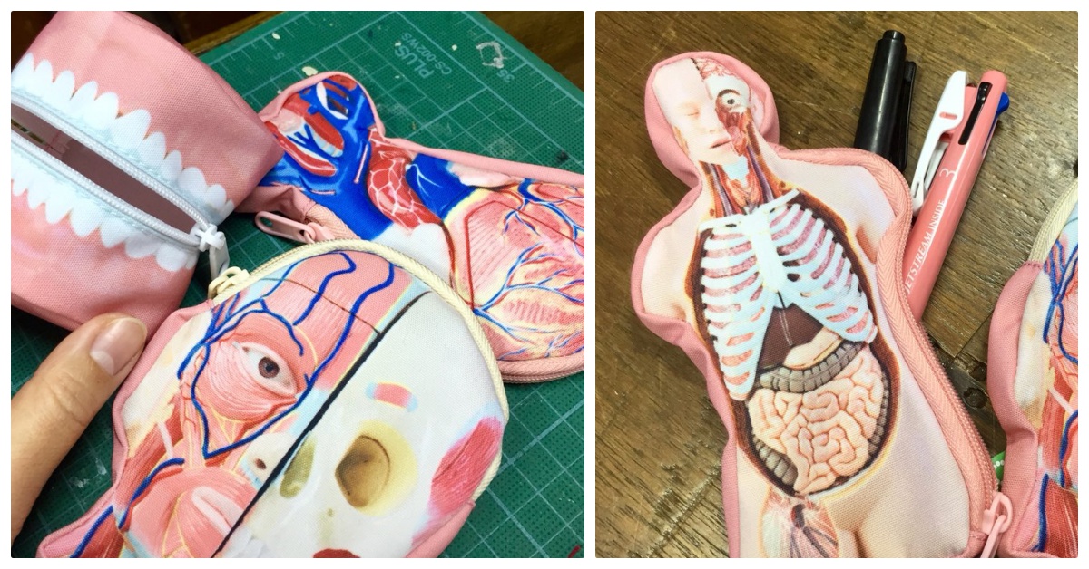 有東西從身體裡掉出來惹！「人體解剖模型包」讓你隨時都能上生物課 人體解剖模型、扭蛋、小包包、NATURE TECHNI COLOUR、生物、自然、解剖圖