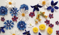 紙藝達人Fideli Sundqvist 栩栩如真的自然系作品 藝術、紙雕、Fideli Sundqvist、花卉、動物