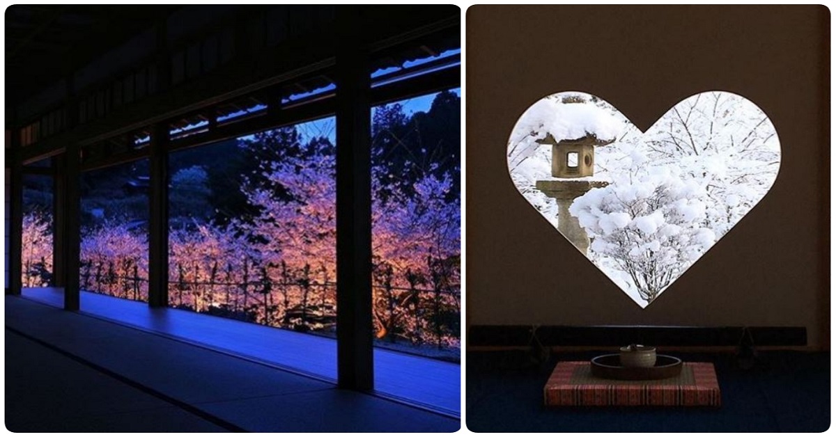 「愛心眼」粉嫩大爆發！京都賞櫻秘境首度開放絕美來襲 賞櫻、京都、櫻花前線、夜櫻、點燈、正壽院、櫻花