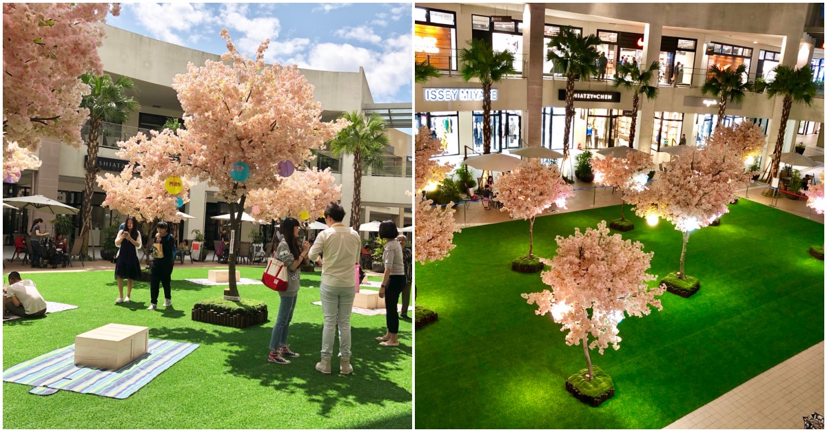 在台灣也能像小丸子在櫻花樹下野餐？！「林口三井OUTLET」春遊祭滿足你的櫻花夢 MITSUI OUTLET PARK林口、野餐、春遊祭、櫻花、連假、櫻桃小丸子、きいやま商店、去阿嬷商店