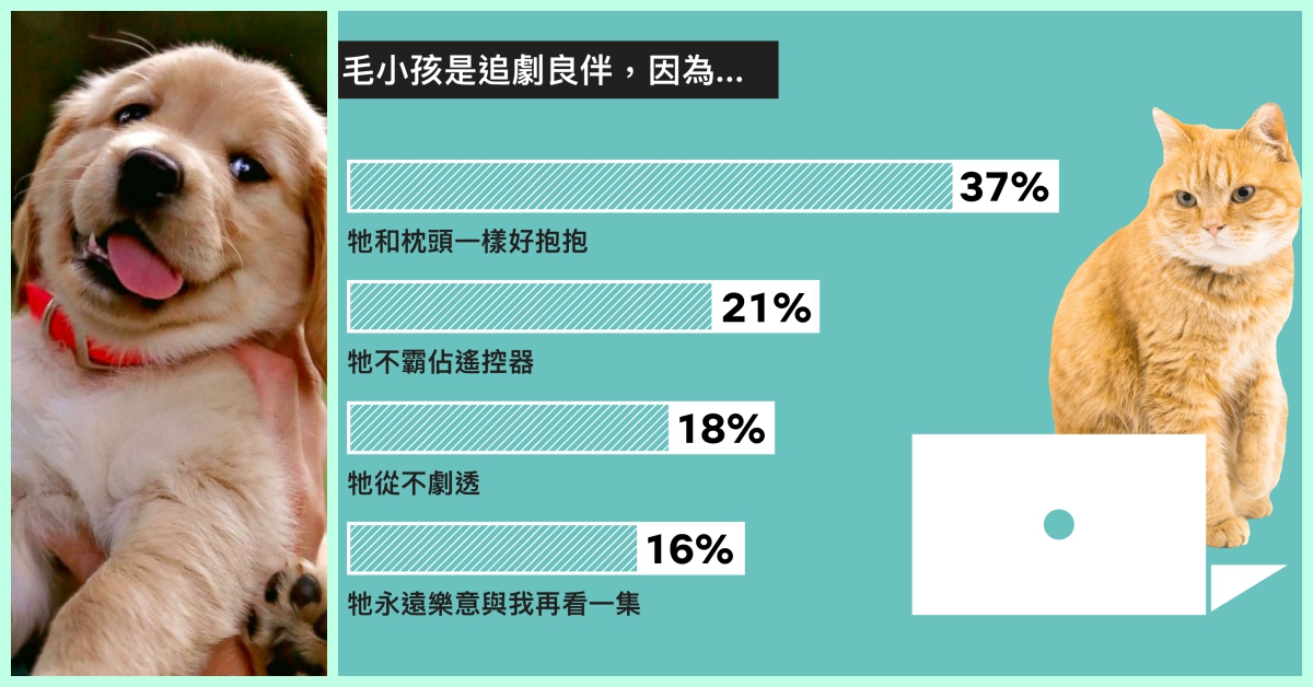 毛小孩94追劇好夥伴！Netflix票選「跟寵物一起看電影最Chill」 Netflix、追劇、寵物、毛小孩、票選、排行榜、溫馨、可愛、夥伴、電影、Chill、放鬆