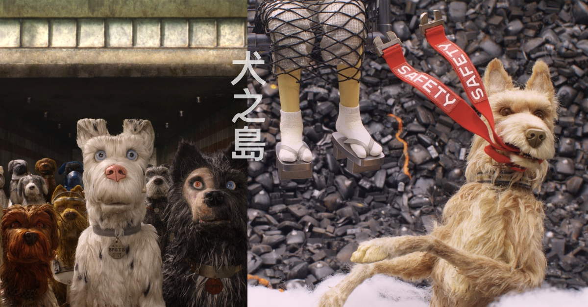 狗狗繁殖過剩要被統一滅絕？《犬之島》帶你重思「生命的意義」 20世紀福斯、犬之島、威斯安德森、狗狗、毛小孩、家人、溫馨、感動、親情、友情、摯友、拯救、流浪狗