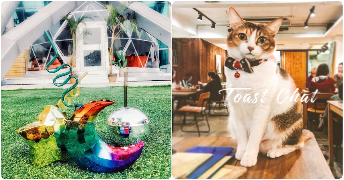 你還在問展覽結束要去哪裡嗎？特搜松菸商圈5大「讓心靈歇腳」的咖啡廳 台北100選、松菸商圈、咖啡廳、文青、下午茶、玩樂攻略