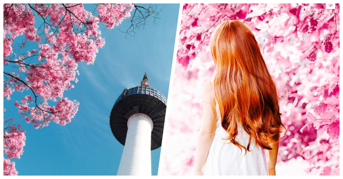 05/16限時免費App特輯：粉紅控必載！夢幻感濾鏡App《Pinkl》限免中 限免、免費、特價、iPhone、App