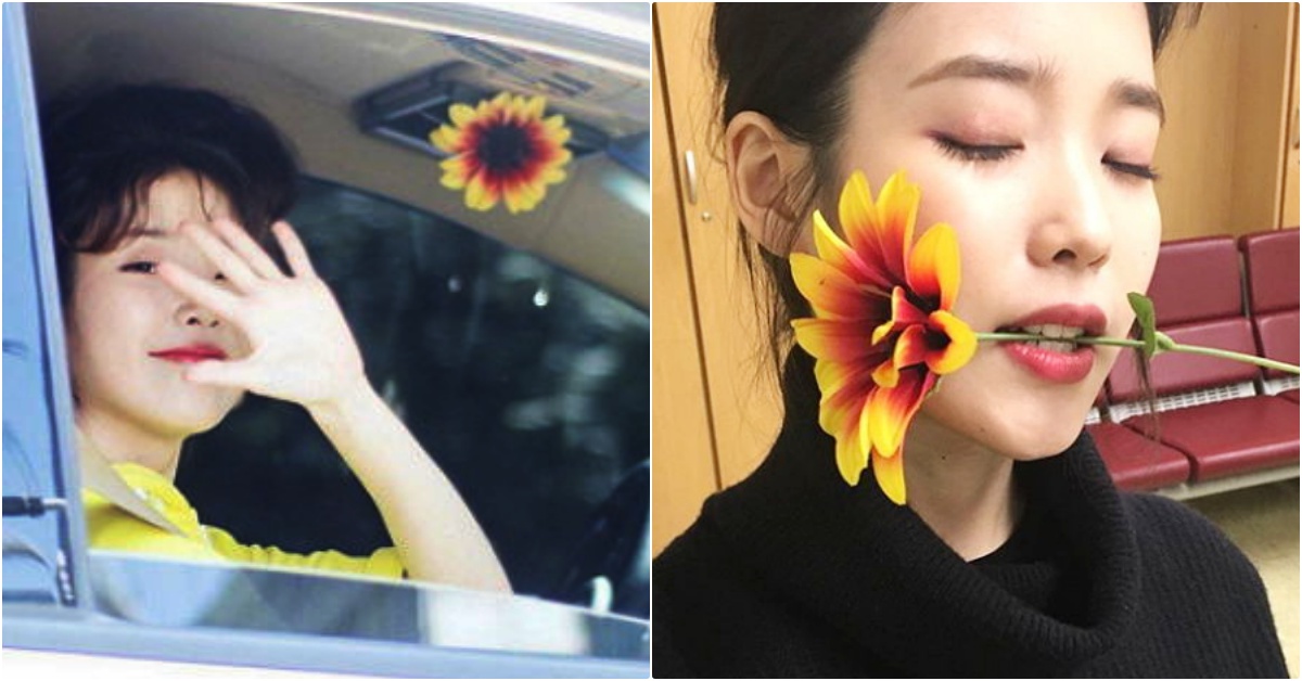 TWICE娜璉你在看嗎？IU居然把一朵花保存了3個月！迷妹生涯巔峰就是這瞬間吧！ IU、TWICE、娜璉、追星、偶像粉絲、李知恩、娜璉送花、Gaon Chart K-Pop Awards、IU飯拍、IU粉絲