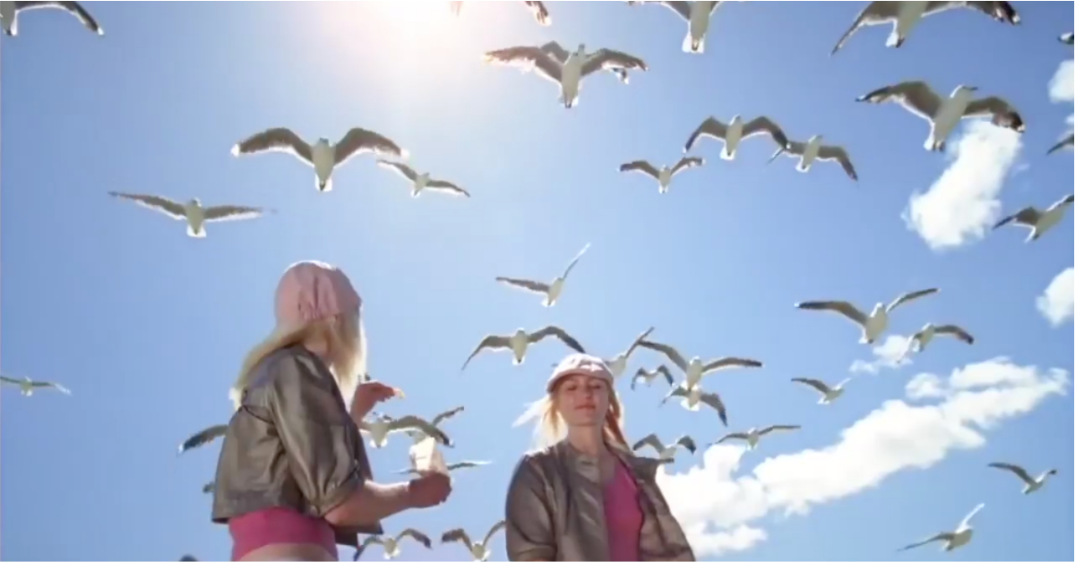 我思，故我在 地球、探索、生命、生命的意義、