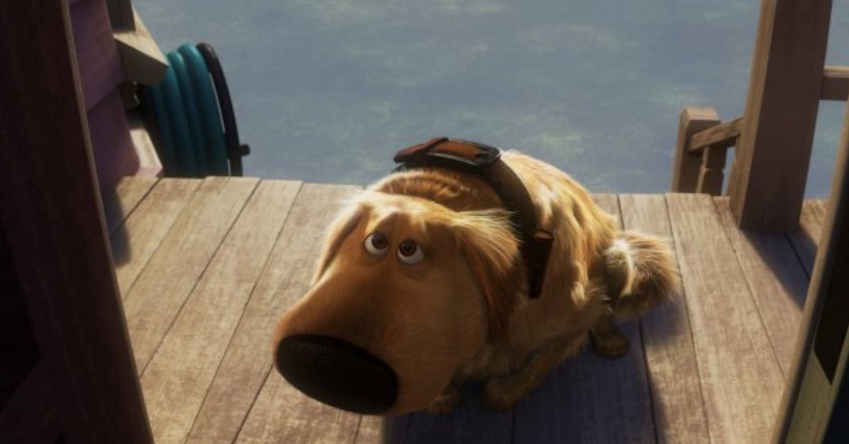 「都是因為有人  曾讓你誤以為愛  沒有極限」──《每天都在膨脹》書摘連載：老狗 | 妞書僮 老狗、每天都在膨脹、鯨向海、詩人、詩集、讀讀書