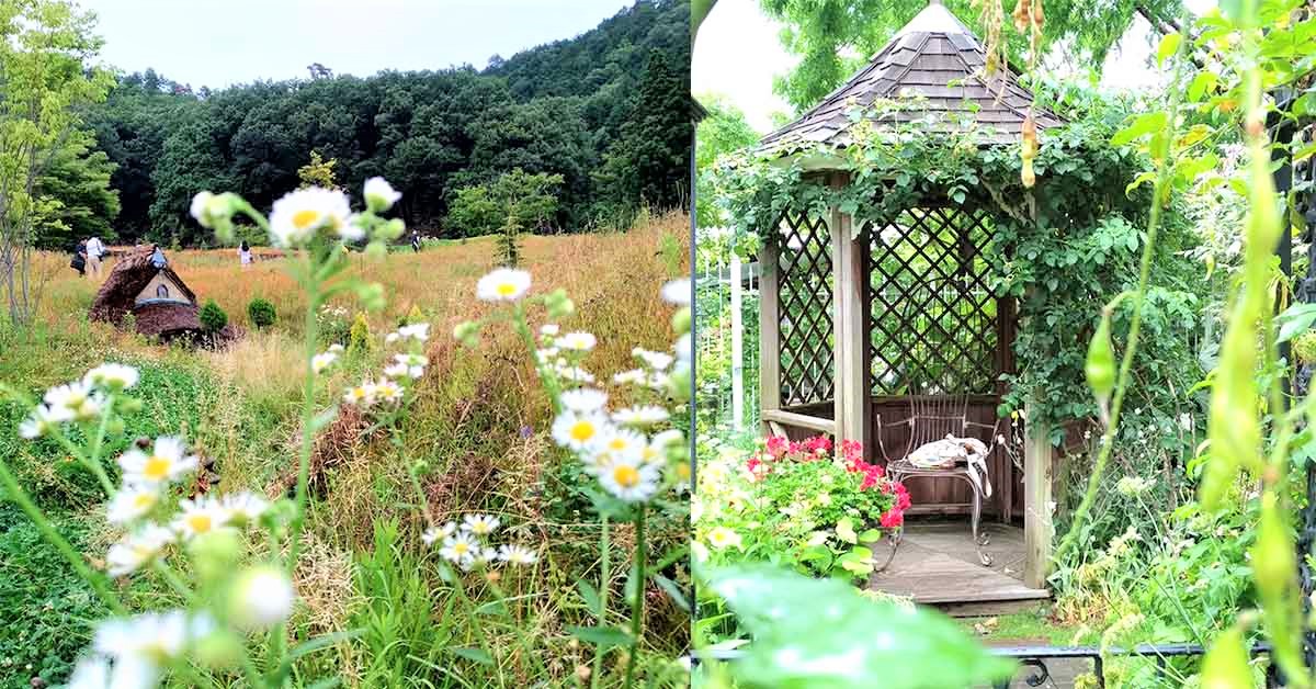 秒到魔界精靈村！日本滋賀2天1夜「快閃慢活」旅遊景點指南 日本旅遊、景點、關西、滋賀縣、米原、向城市說再見、愛玩妞在滋賀、推薦、住宿