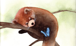 生命中不同的伴侶 和諧溫暖禪意插畫 藝術、插畫、禪意、Ray Shuell、藝術