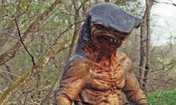 何方神聖？！海陸兩棲錘頭鯊妖怪 海陸、海陸兩棲、兩棲、錘頭鯊、鯊魚