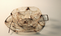 蟬的美麗悲劇？蟬翼透明杯具 新鮮貨、昆蟲、蟬、Carrianne Bullard