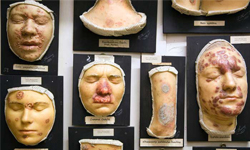 病理解剖演劇廳 世界各地的骨董蠟像收藏 病理、解剖、博物館、西方、身體