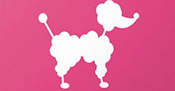 [妞隨選] 更多選擇更美麗 Sony Xperia Z手機殼       Sony Xperia Z