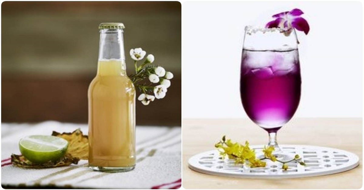 年輕人喝茶潮法！唐寧茶「不用酒精也能很微醺」的特調食譜 唐寧茶、下午茶、茶、特調、做法、食譜、女生寓所