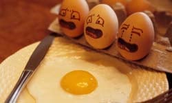 下一個就是你！雞蛋瀕死前的一百種表情  雞蛋、惡搞、KUSO