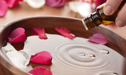 隱形保養小助手　精油選擇指南 精油、迷迭香、玫瑰、鼠尾草、檀香