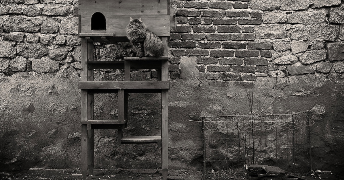 在那條時空凍結的小巷，有個能實現所有願望的婆婆——《符紙婆婆》書摘轉載 | 妞書僮 妞怪談、鬼故事、鬼月、試膽大會、百物語、妖魔鬼怪、許願、願望、讀讀書