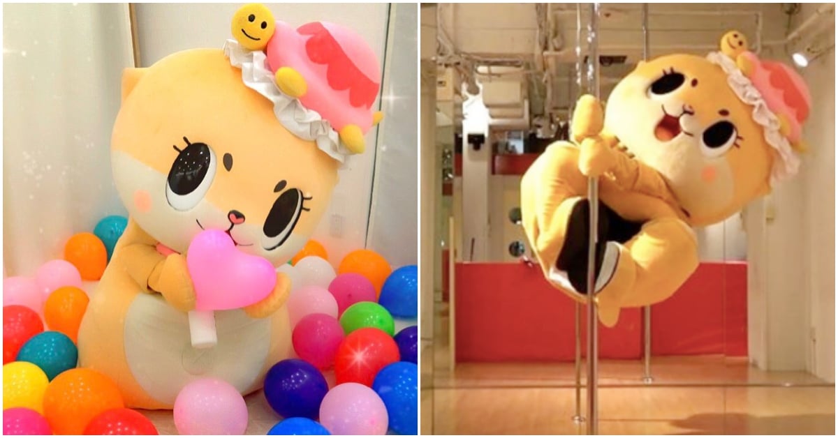 日本吉祥物賣萌已過時！「拼命系偶像Chiitan」跆拳道、跳鋼管、踩高蹺樣樣行！ 日本吉祥物、高知縣、拼命系偶像、Chiitan、水獺