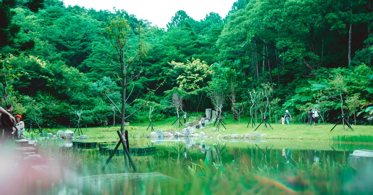 彷彿台版魔戒精靈村！勤美學山那村不只露營還要讓你氣質晉升精靈女王 勤美學、山那村、苗栗、森大、森林