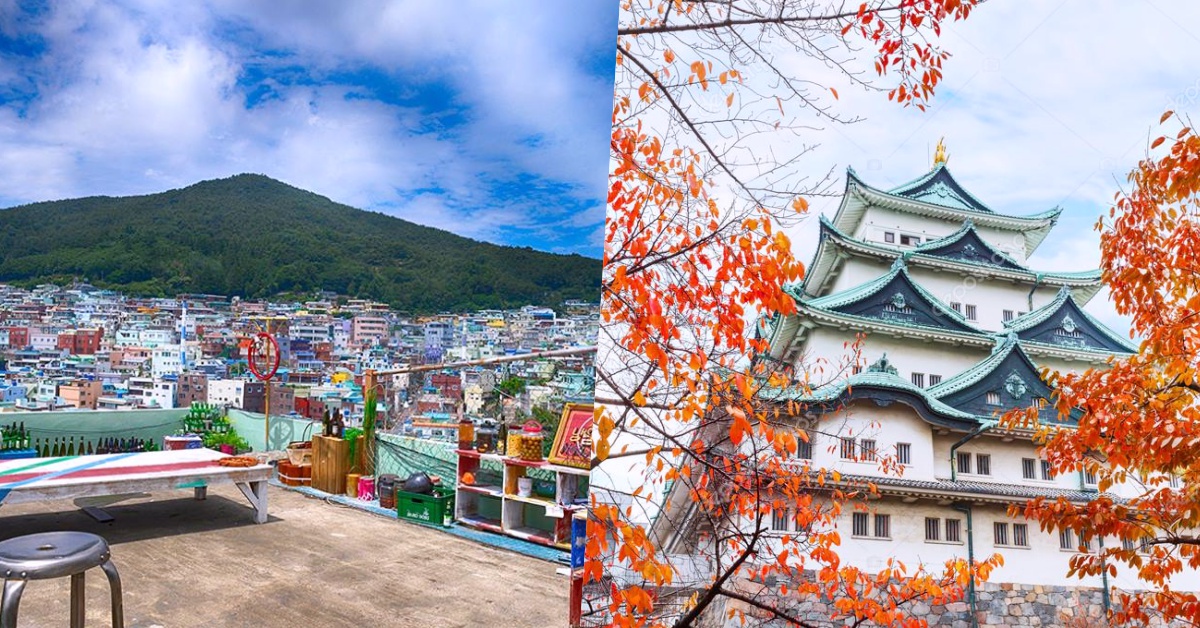 千元有找飛沖繩、釜山？台灣虎航冬季優惠8/15開賣準備手刀開搶！ 台灣虎航、廉航、優惠、冬季、航班