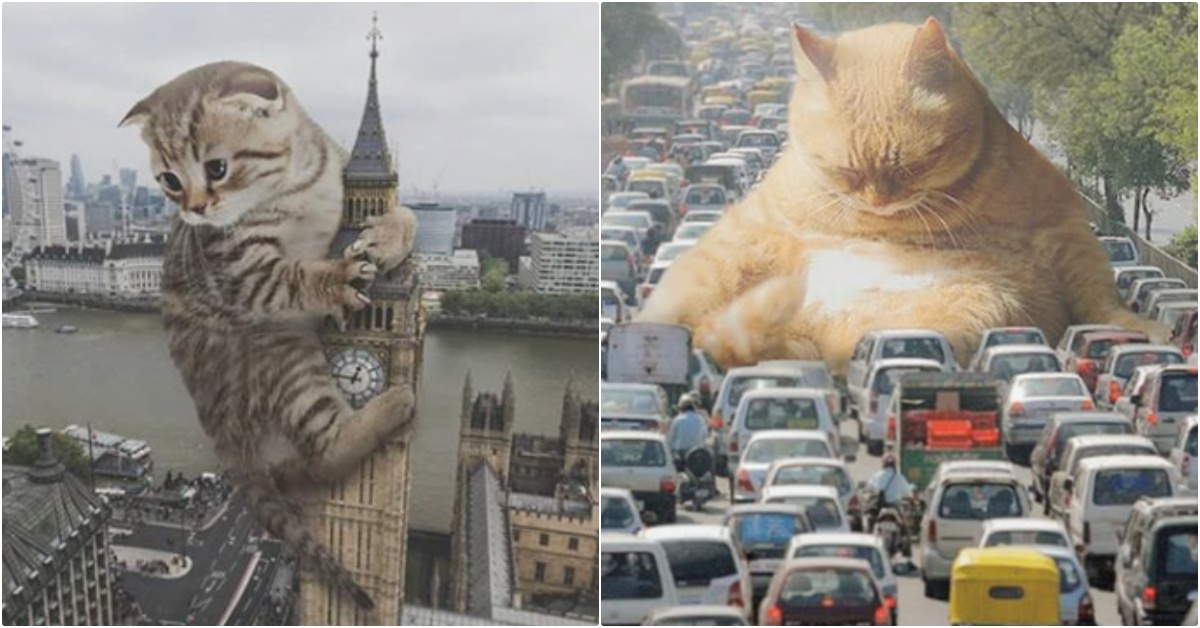 全世界都是我的奴隸！進擊的「喵巨人」大鬧市中心，還直接在馬路中央打瞌睡造成大堵車啦！ 喵星人、喵巨人、惡搞圖、Fransdita Muafidin、fransditaa、貓咪大戰、貓奴、貓咪惡搞圖、可愛貓咪